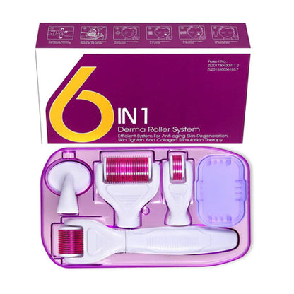 6-in-1 Derma Roller System Set